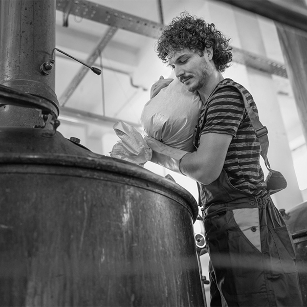 Master brewer in the early steps of the brewing process